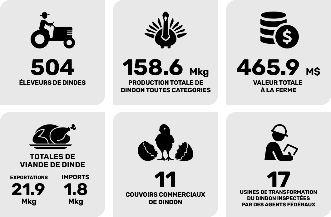 Industry Stats